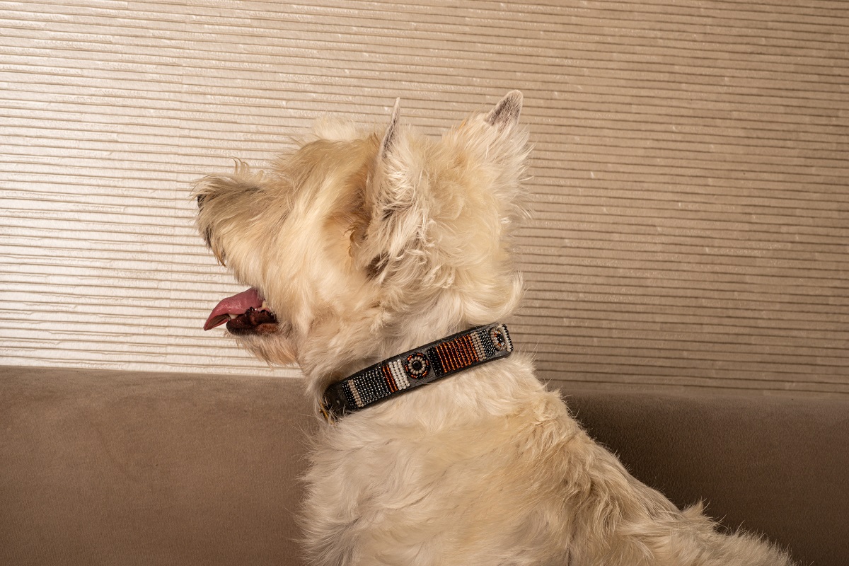 Awati - Consentido - Imagen 8